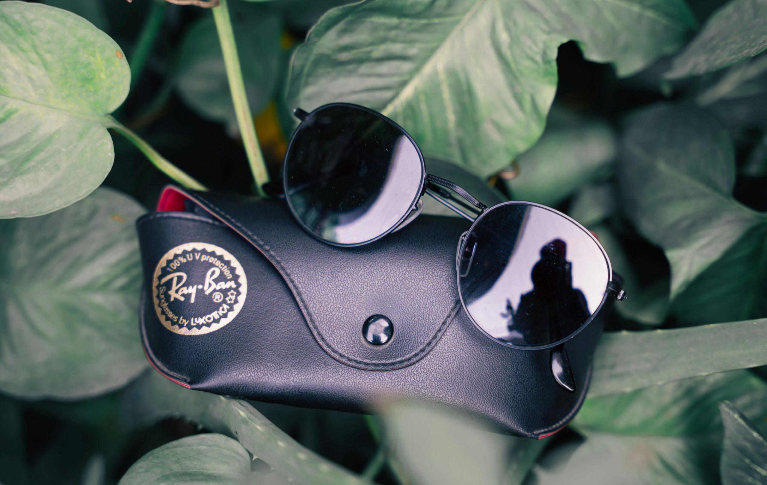 Close-up of Ray-Ban sunglasses resting on a black case surrounded by lush green leaves.